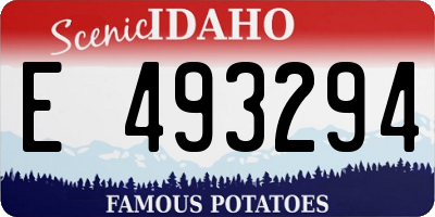 ID license plate E493294