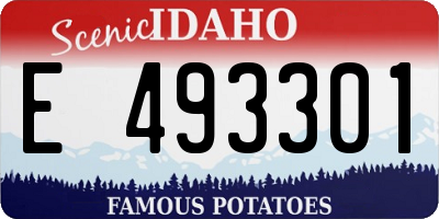 ID license plate E493301