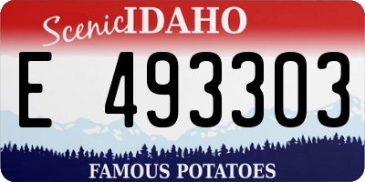 ID license plate E493303