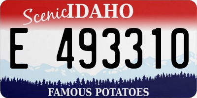ID license plate E493310