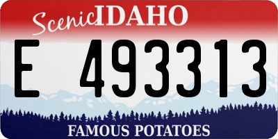 ID license plate E493313