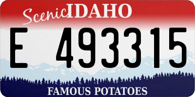 ID license plate E493315