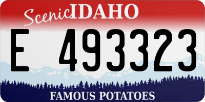 ID license plate E493323