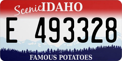 ID license plate E493328