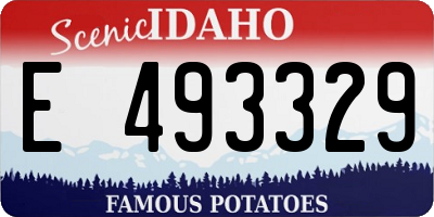 ID license plate E493329