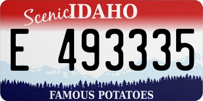 ID license plate E493335