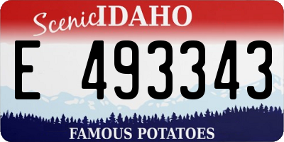 ID license plate E493343