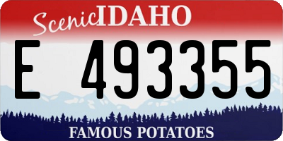ID license plate E493355