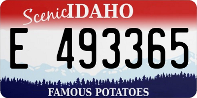 ID license plate E493365