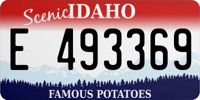 ID license plate E493369