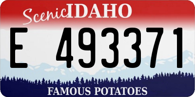 ID license plate E493371