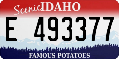 ID license plate E493377