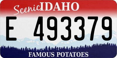 ID license plate E493379