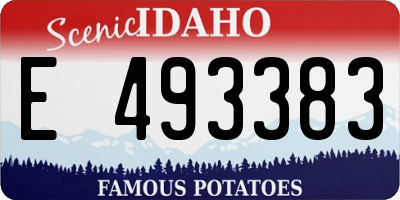 ID license plate E493383
