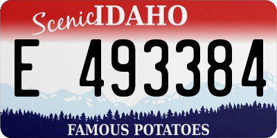 ID license plate E493384