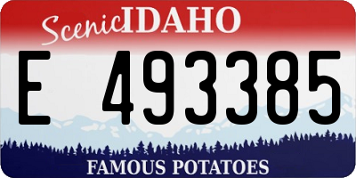 ID license plate E493385