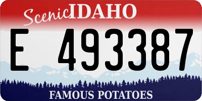 ID license plate E493387