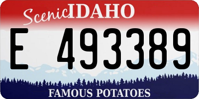 ID license plate E493389