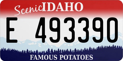 ID license plate E493390