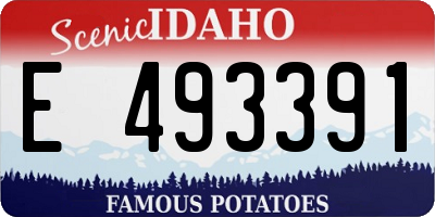 ID license plate E493391