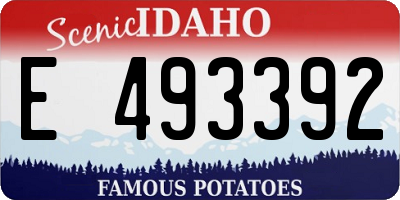 ID license plate E493392