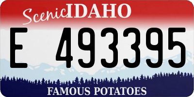 ID license plate E493395