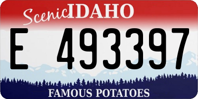 ID license plate E493397