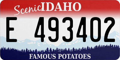 ID license plate E493402