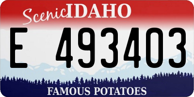 ID license plate E493403