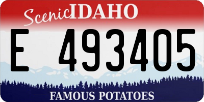 ID license plate E493405