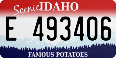 ID license plate E493406