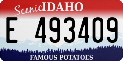ID license plate E493409