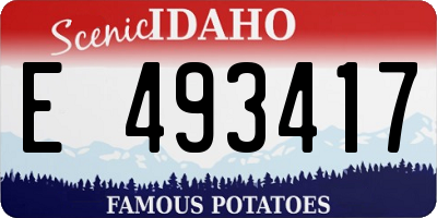 ID license plate E493417