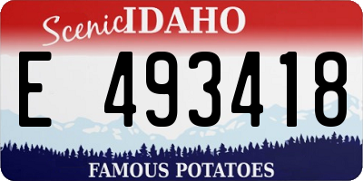 ID license plate E493418