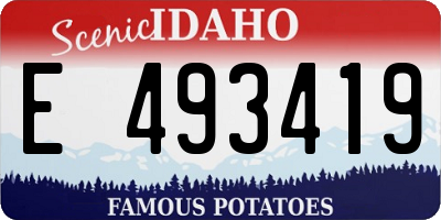 ID license plate E493419
