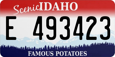ID license plate E493423