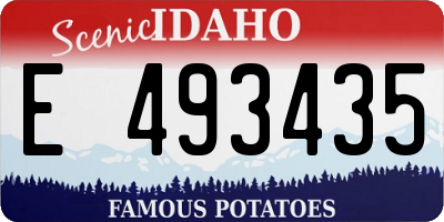ID license plate E493435