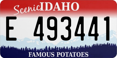 ID license plate E493441