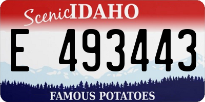 ID license plate E493443