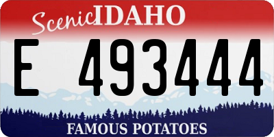 ID license plate E493444