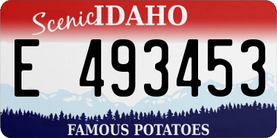 ID license plate E493453