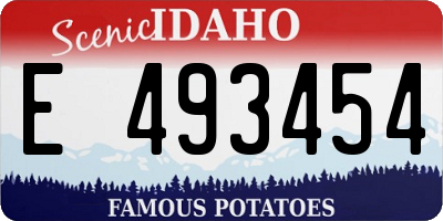 ID license plate E493454