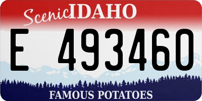 ID license plate E493460