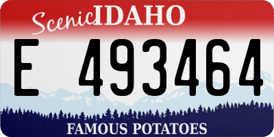 ID license plate E493464