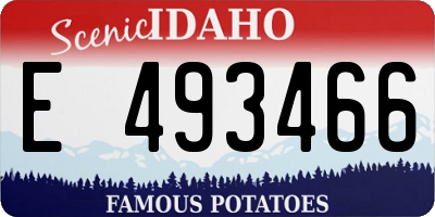 ID license plate E493466