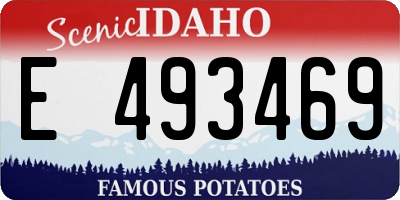 ID license plate E493469
