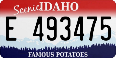 ID license plate E493475