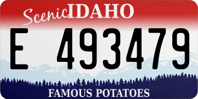 ID license plate E493479
