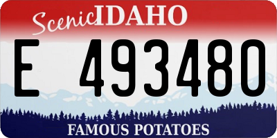 ID license plate E493480