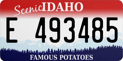 ID license plate E493485